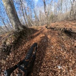 marzola-bike-arena